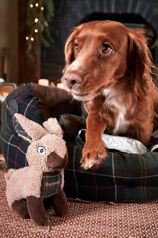 Dog Toy Rabbit - RABBIT