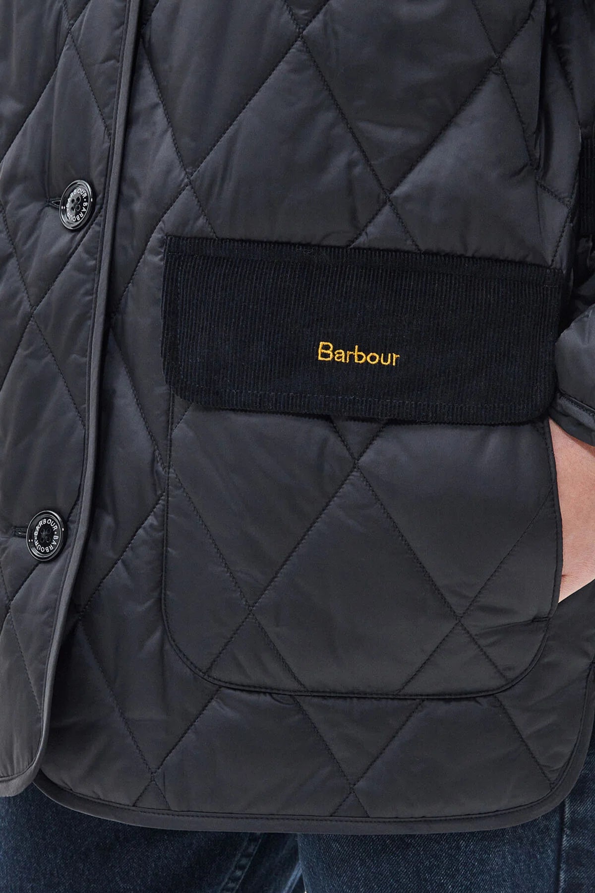 Bragar Quilted Jacket - BLACK/ANCIENT